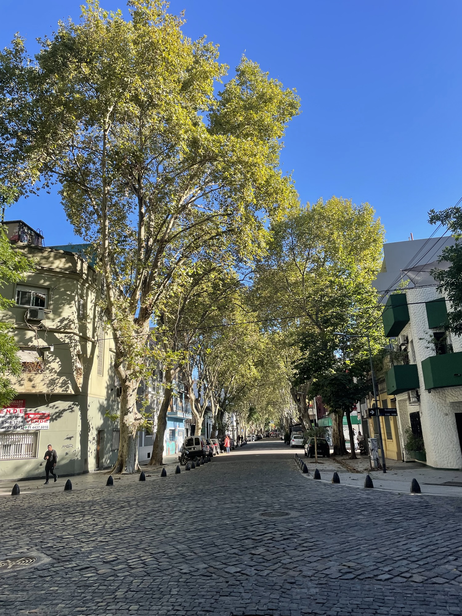 Buenos Aires, Argentina: Layover Edition